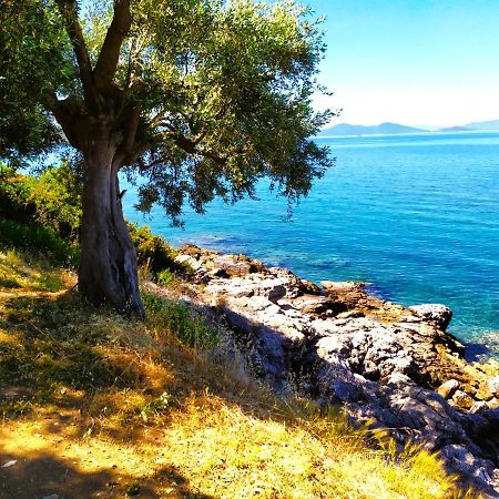Villa Leonidas Greecefiloxenia Lefokastro Ngoại thất bức ảnh