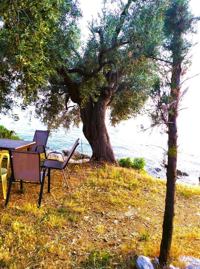 Villa Leonidas Greecefiloxenia Lefokastro Ngoại thất bức ảnh
