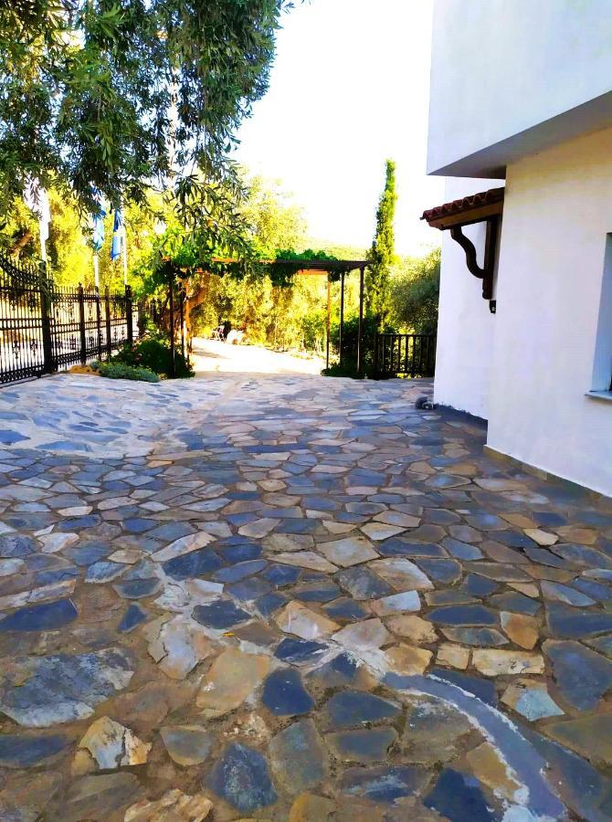 Villa Leonidas Greecefiloxenia Lefokastro Ngoại thất bức ảnh