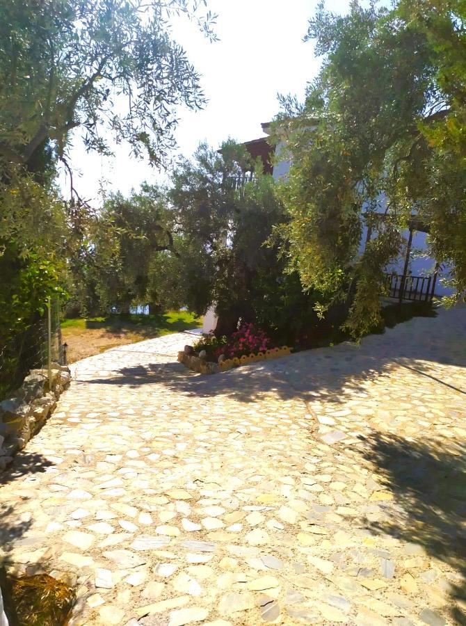 Villa Leonidas Greecefiloxenia Lefokastro Ngoại thất bức ảnh