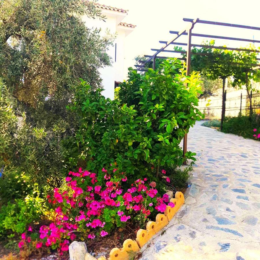 Villa Leonidas Greecefiloxenia Lefokastro Ngoại thất bức ảnh