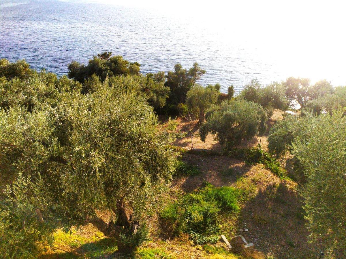 Villa Leonidas Greecefiloxenia Lefokastro Ngoại thất bức ảnh