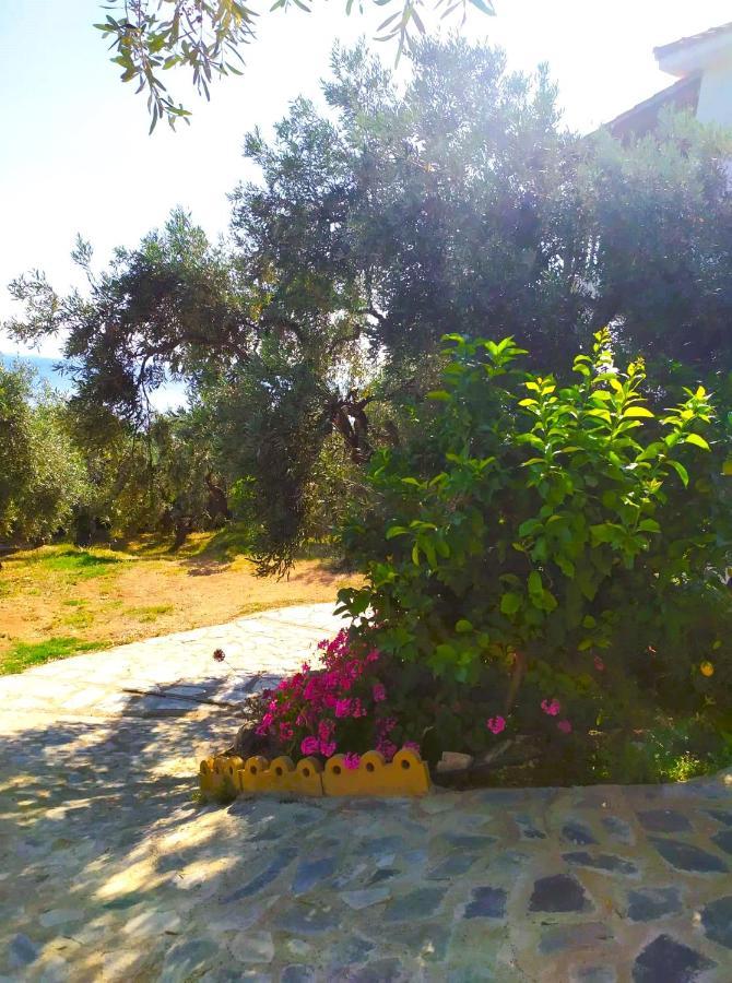 Villa Leonidas Greecefiloxenia Lefokastro Ngoại thất bức ảnh